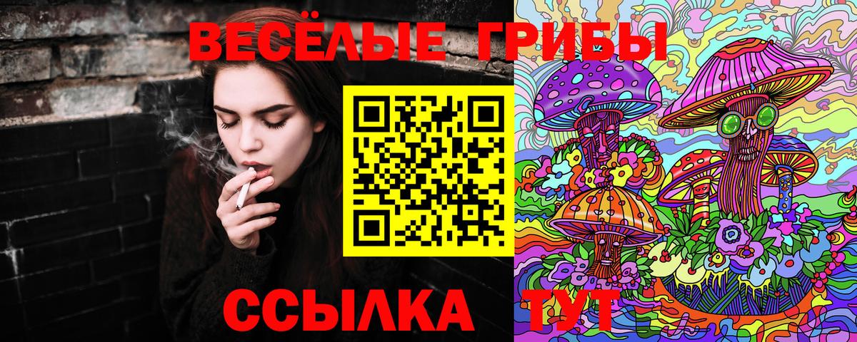 Псилоцибиновые грибы прущие грибы  Вход с VPN  Вольск  Галлюциногенные грибы прущие грибы 